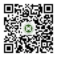 Huaxia Chinese School