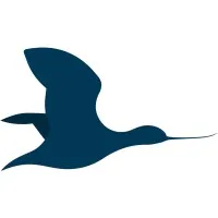 Avocet