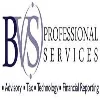 BVS Professional Services