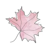 Maple Weddings and Events