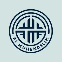 Fi mühendislik Fi mühendislik