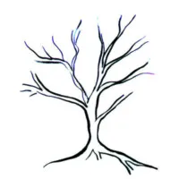 Random Forest Capital