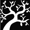 Mangrove Wealth Group Mangrove Wealth Group