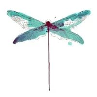 Emergent Agency Emergent Agency