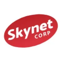 SKYNET Consultoria Digital y Sistemas SKYNET Consultoria Digital y Sistemas