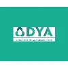 DYA Manufacturas S.A. de C.V. DYA Manufacturas S.A. de C.V.
