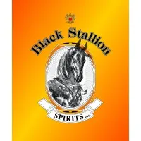 Black Stallion Spirits