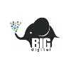BIG Digital BIG Digital