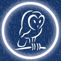 Wise Hospice Options