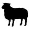 Shepherd Express Shepherd Express