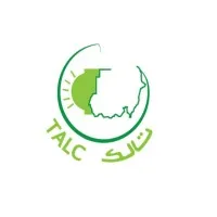 The Arab leasing company Ltd