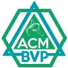 ACM Student Chapter BVP ACM Student Chapter BVP