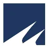 South Street Securities Holdings Inc.
