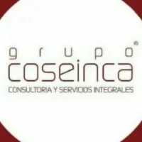 Grupo Coseinca