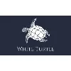White Turtle White Turtle