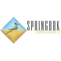 Springbok Enterprise Solutions Limited Springbok Enterprise Solutions Limited