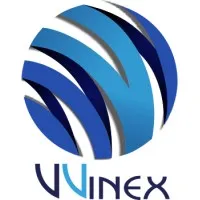 VVInEx Group