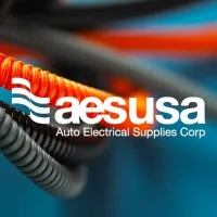 AES USA Corp
