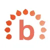 BrightPay BrightPay