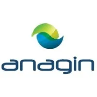 Anagin Inc Anagin Inc