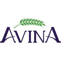 Avina Holding