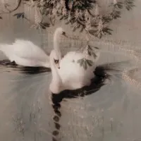 Darpan Literary Magazine