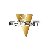 Evident Sofa Evident Sofa