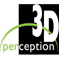 3D perception 3D perception