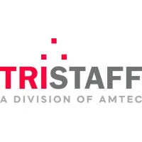 TriStaff Group of Companies, Division of Amtec