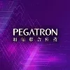 Pegatron México