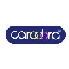 Caradora International Caradora International