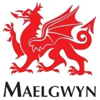 Maelgwyn Mineral Services Africa