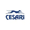 Cesari Multimodal Cesari Multimodal