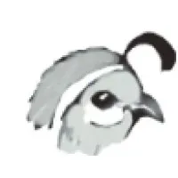 Northern Arizona Academic Services