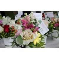 Power of Flowers Project