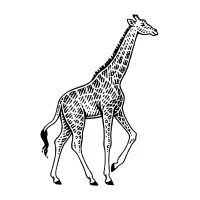 Vanderbilt Private Equity