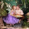 Enchanted Fairies Enchanted Fairies