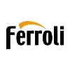 Ferroli Group Ferroli Group