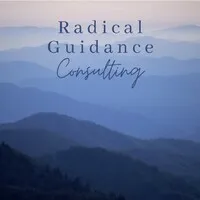 Radical Guidance Consulting Inc.