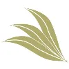 The Willows Foundation, Inc. The Willows Foundation, Inc.