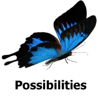 Possibilities Consulting, LLC.