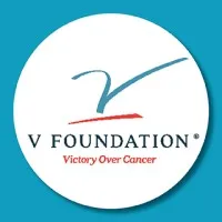 the V Foundation