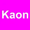 Kaon
