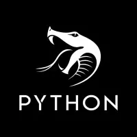 Python - Digital Solutions Agency Python - Digital Solutions Agency