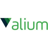Alium Batteries 