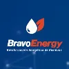 Bravo Energy Chile SA Bravo Energy Chile SA