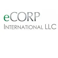 eCORP International LLC