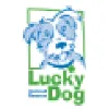 Lucky Dog Animal Rescue Lucky Dog Animal Rescue
