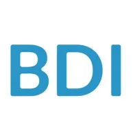 BDI Consulting