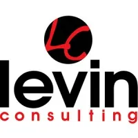 Levin Consulting